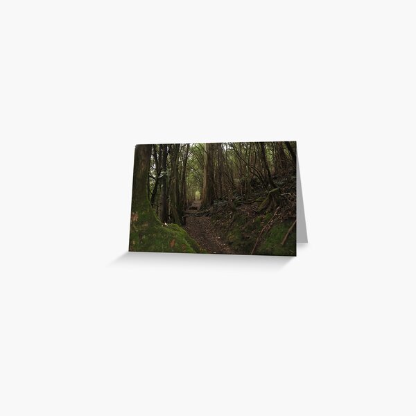 Item preview, Fern Glade Track designed and sold by pierredubrelle.