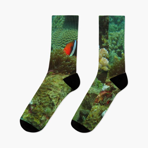 Item preview, Underwater Scene with Clownfish designed and sold by Belcibol.
