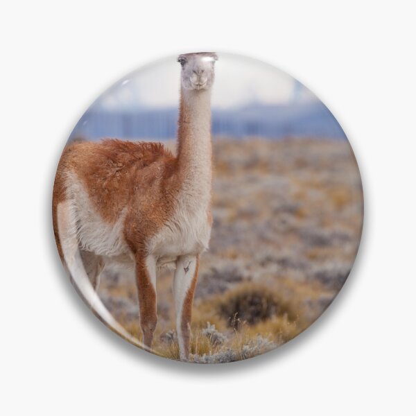 Item preview, Guanaco designed and sold by HKE-Photo.