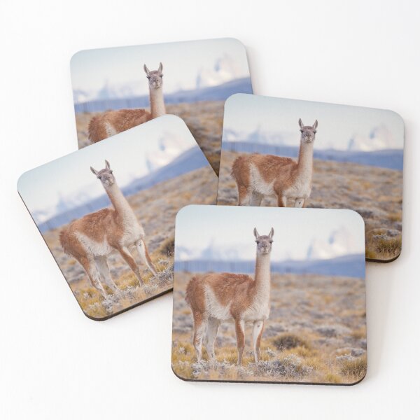 Item preview, Guanaco designed and sold by HKE-Photo.