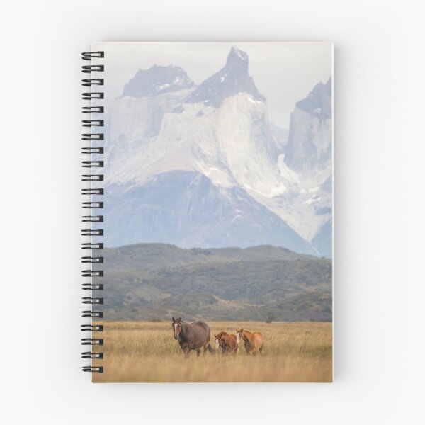 Item preview, Caballos Cuernos designed and sold by HKE-Photo.