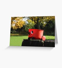 cleaning nature Greeting Card