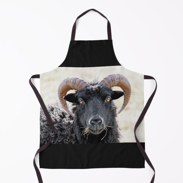 Item preview, Black Sheep "Eye to Eye Contact" Hebridean Sheep designed and sold by mhfore.