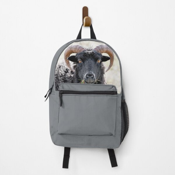 Item preview, Black Sheep "Eye to Eye Contact" Hebridean Sheep designed and sold by mhfore.