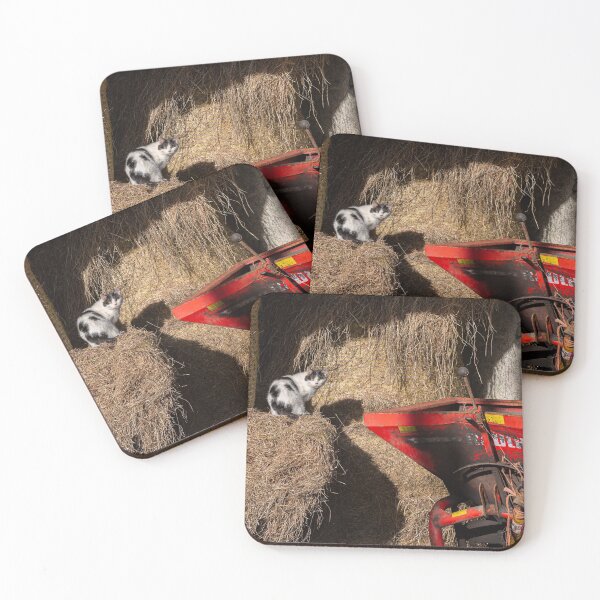 Item preview, Cat on Hay Bales designed and sold by StephenPower.