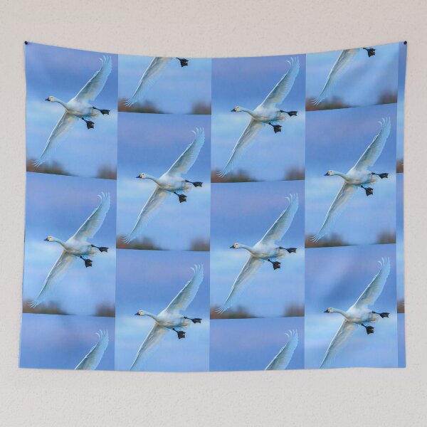 Item preview, Bewick swan against a blue sky designed and sold by Dalyndigital Photography.