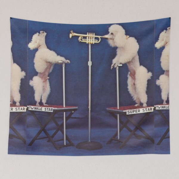 Item preview, Vintage Promo Poodle cute pet dog dos pets puppy sweet Musicians Music Trump  designed and sold by Coolstuff4you71.