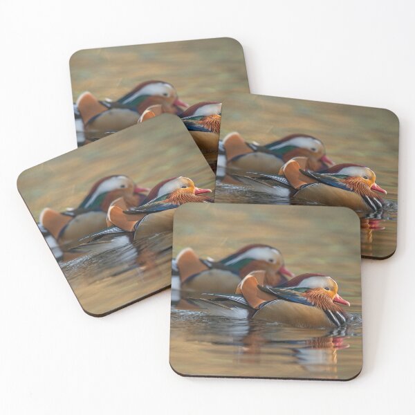 Item preview, Mandarin Duck designed and sold by Steve Liptrot Photography.