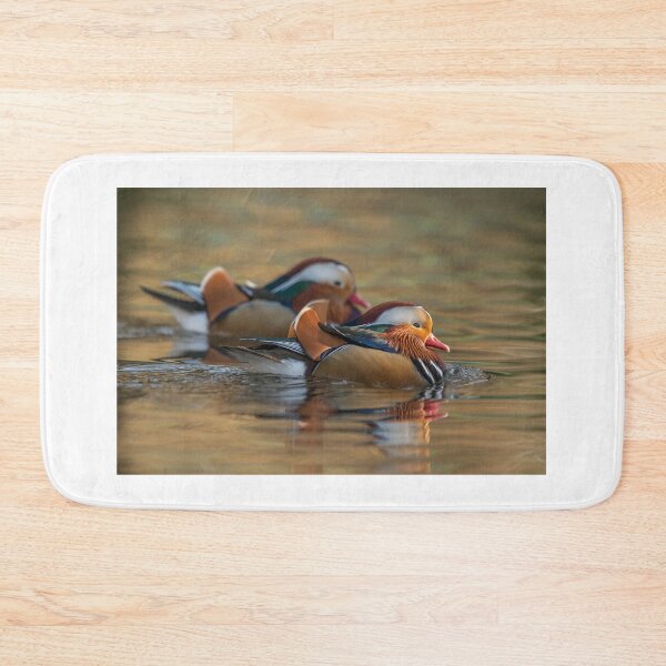 Item preview, Mandarin Duck designed and sold by Steve Liptrot Photography.