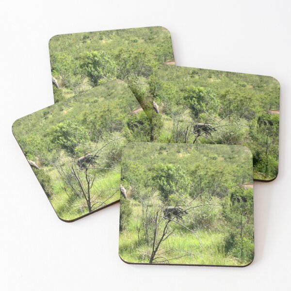 Item preview, On Safari In Africa With Animal Wild Life designed and sold by comcamworld.