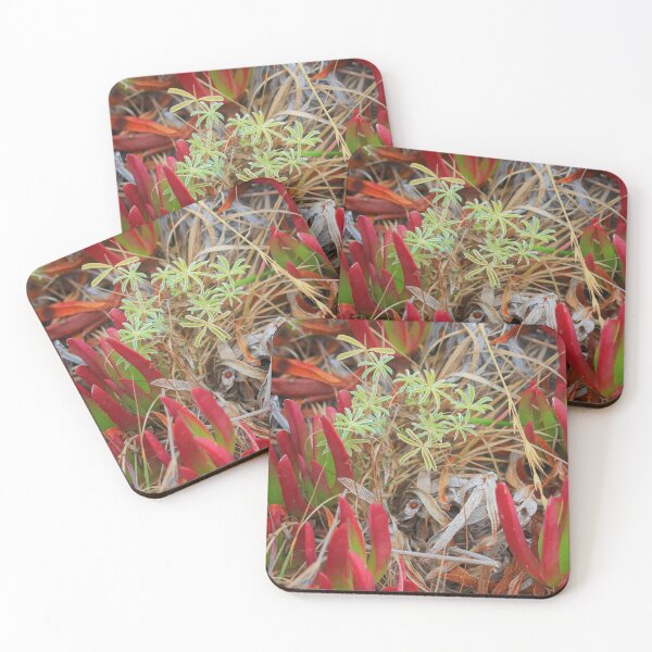 Item preview, flora  designed and sold by Coastwind Photography.