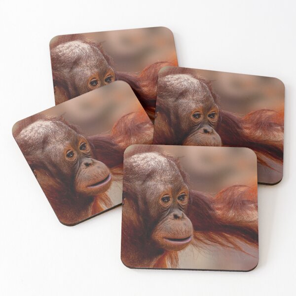 Artikelvorschau, Unschuldiges Gesicht eines Baby-Orang-Utans entworfen und verkauft von Dalyndigital Photography.