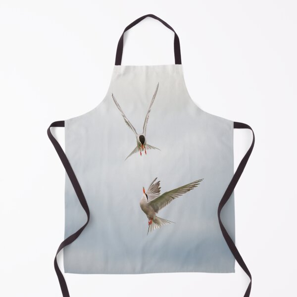 Item preview, Common Terns designed and sold by Steve Liptrot Photography.