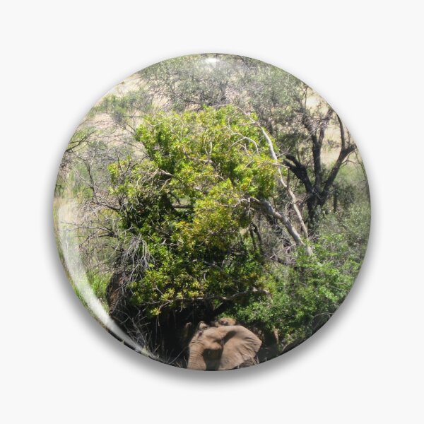 Item preview, Baby Elephant Seen on Safari In South Africa designed and sold by comcamworld.