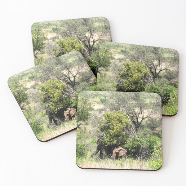 Item preview, Baby Elephant Seen on Safari In South Africa designed and sold by comcamworld.