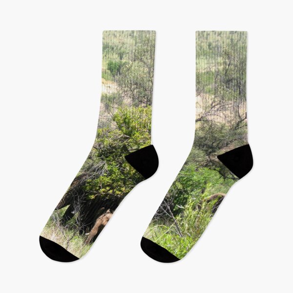 Item preview, Baby Elephant Seen on Safari In South Africa designed and sold by comcamworld.