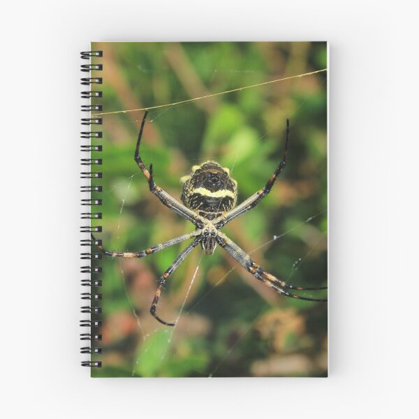 Item preview, Orb Weaver Spider Among Plants designed and sold by rhamm.