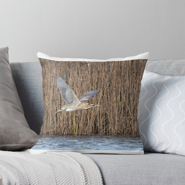 Item preview, Bittern designed and sold by Steve Liptrot Photography.