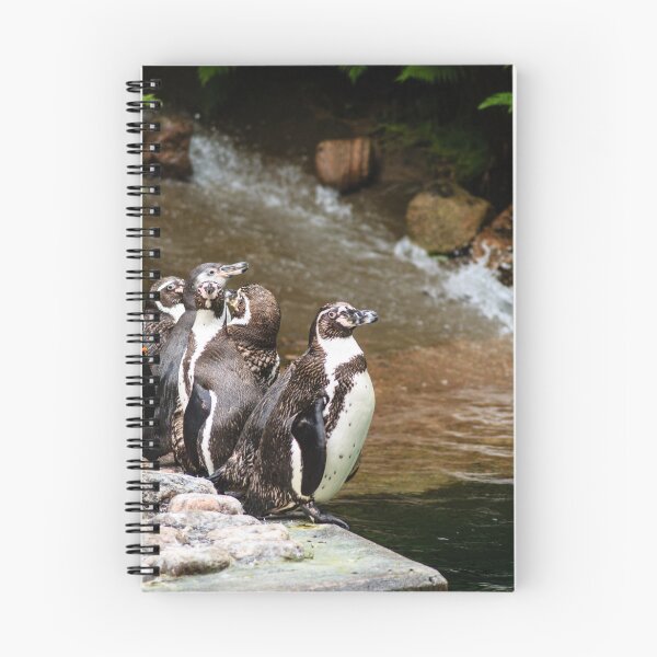 Item preview, Humboldt penguins designed and sold by frommyhorizon.