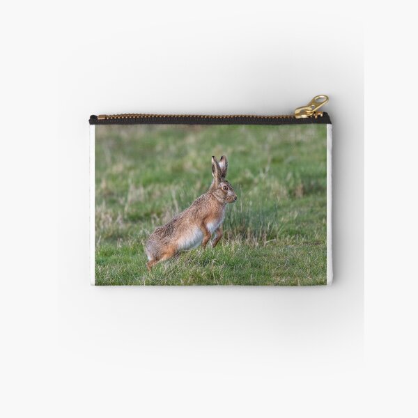 Item preview, Brown Hare designed and sold by Steve Liptrot Photography.