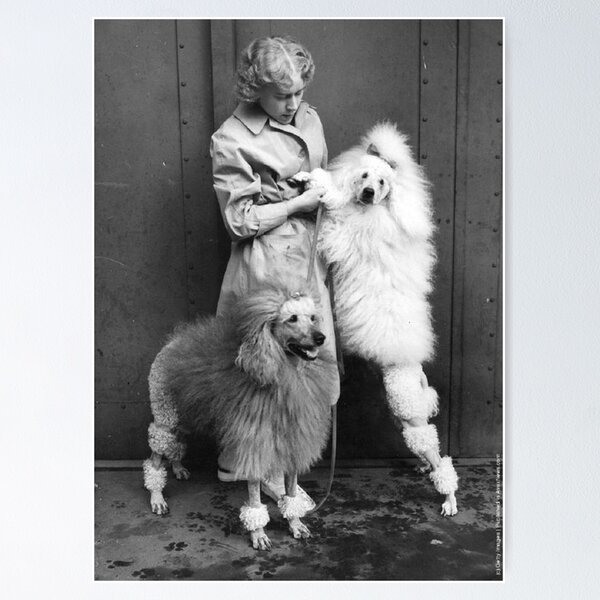 Artikel-Vorschau von Pudel Vintage Foto süße Haustier Hund Dos Haustiere Welpen süß mit Mädchen, designt und verkauft von Coolstuff4you71.