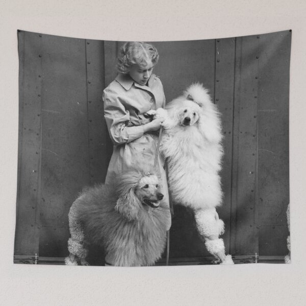 Item preview, Poodle vintage photo cute pet dog dos pets puppy sweet with girl designed and sold by Coolstuff4you71.