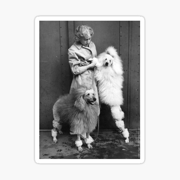 Vista previa del artículo con la obra «Foto vintage de caniche, lindo perro mascota, dos mascotas, cachorro dulce con niña», diseñado y vendido por Coolstuff4you71.