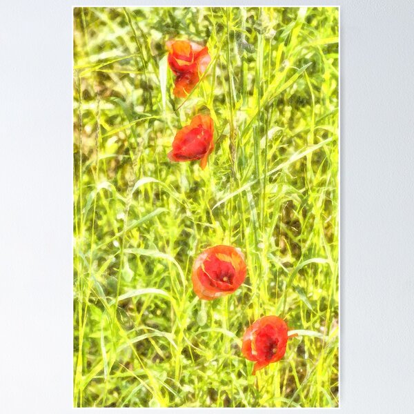 Item preview, Poppy Watercolour Art designed and sold by Londonimages.