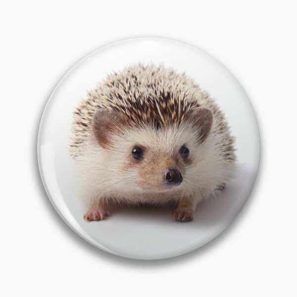 Item preview, Cute Baby Hedgehog Looking Sideways designed and sold by cgroenewald.