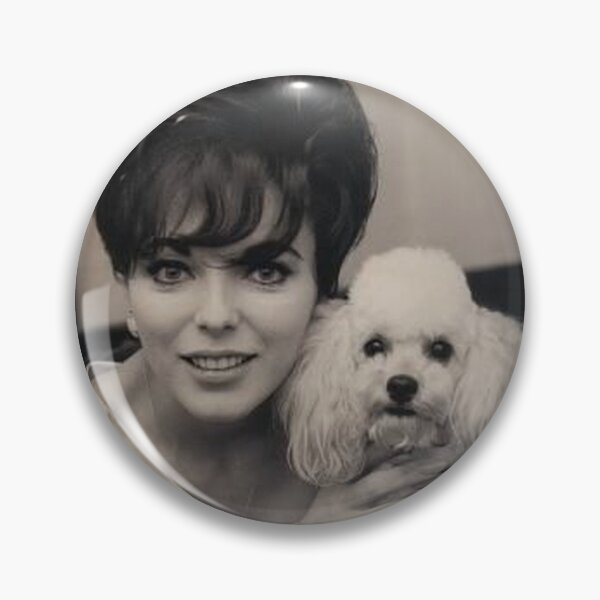 Item preview, Poodle vintage celebrity photo cute pet dog dos pets puppy  designed and sold by Coolstuff4you71.