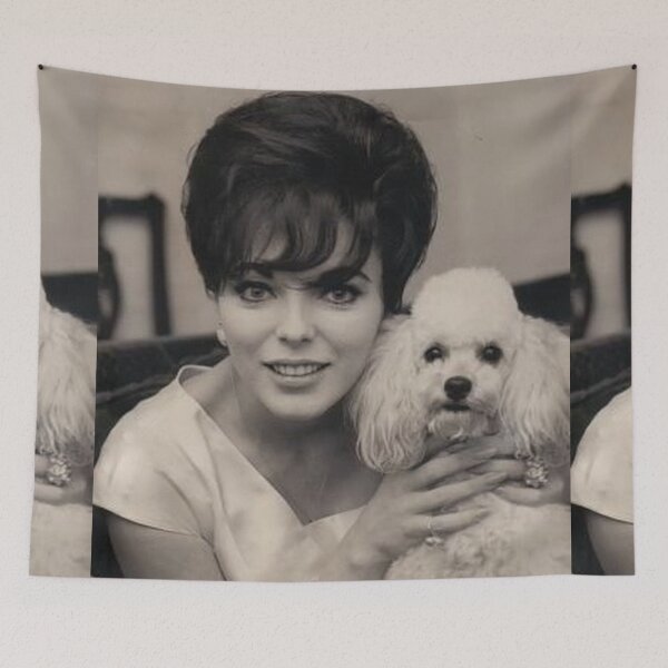 Item preview, Poodle vintage celebrity photo cute pet dog dos pets puppy  designed and sold by Coolstuff4you71.