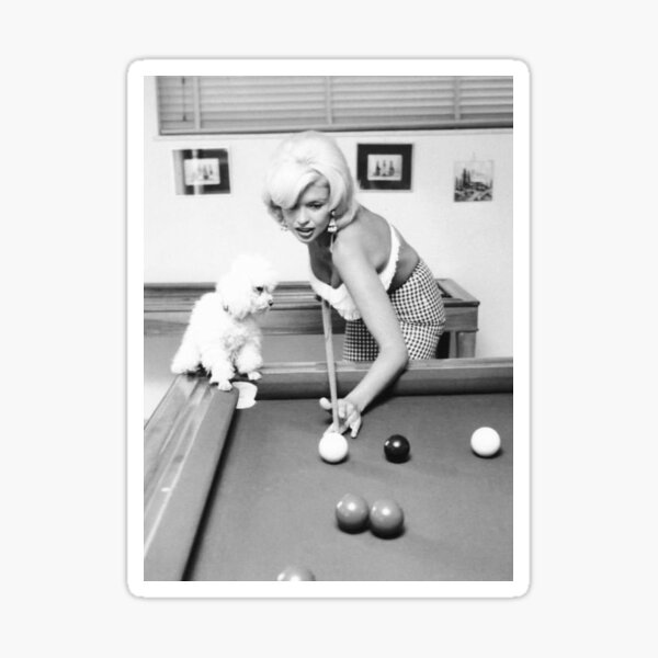 Vista previa del artículo con la obra «Foto de celebridad vintage de caniche en la piscina, linda mascota, dos mascotas, cachorro», diseñado y vendido por Coolstuff4you71.