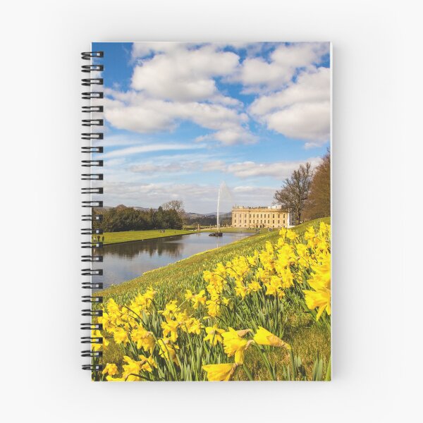 Item preview, Springtime daffodils at Chatsworth, Derbyshire, UK designed and sold by Itsgrimupnorth.