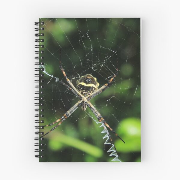 Item preview, Orb Weaver Spider Waiting in a Web designed and sold by rhamm.
