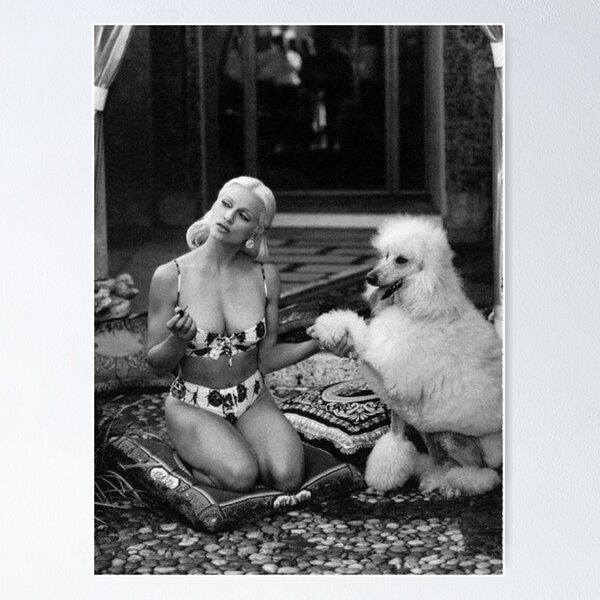 Artikel-Vorschau von Pudel Vintage sexy Mädchen Promi Foto Pool süßes Haustier Hund Dos Haustiere Welpen, designt und verkauft von Coolstuff4you71.