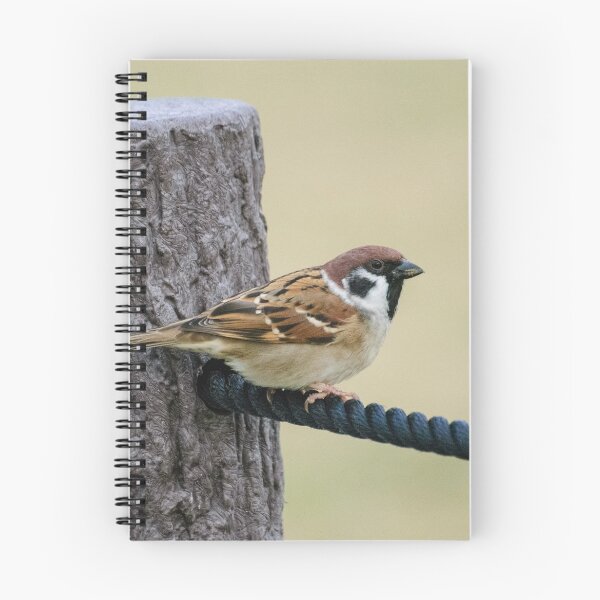 Item preview, Tree sparrow in Nagoya designed and sold by frommyhorizon.