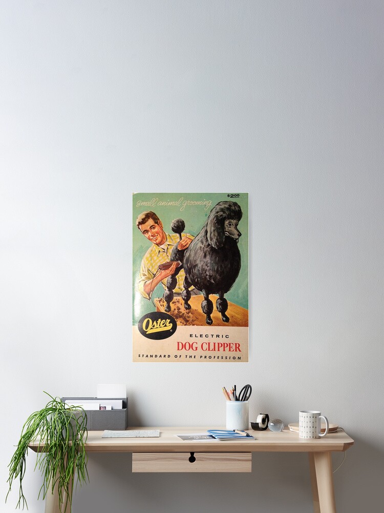 Thumbnail 2 of 3, Poster, Poodle vintage promo groomer barber cute pet dog clipper dogs designed and sold by Coolstuff4you71.