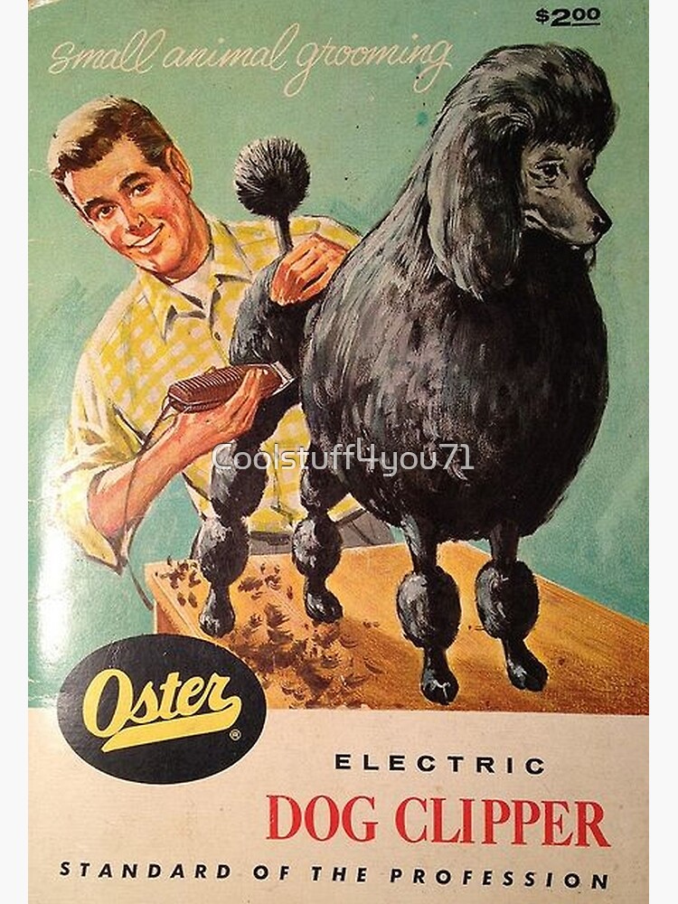 Thumbnail 3 of 3, Poster, Poodle vintage promo groomer barber cute pet dog clipper dogs designed and sold by Coolstuff4you71.