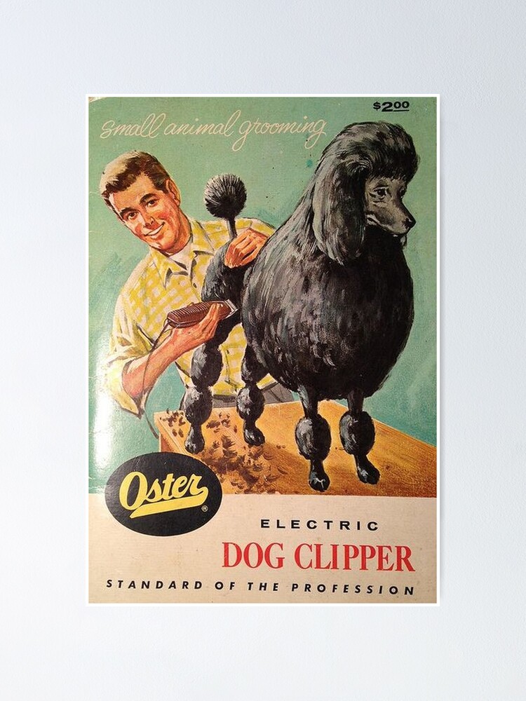 Thumbnail 1 of 3, Poster, Poodle vintage promo groomer barber cute pet dog clipper dogs designed and sold by Coolstuff4you71.