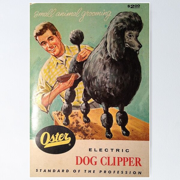 Item preview, Poodle vintage promo groomer barber cute pet dog clipper dogs  designed and sold by Coolstuff4you71.