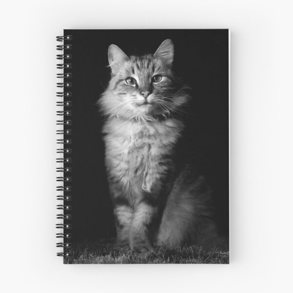 Item preview, fiery cat designed and sold by RerinKin.