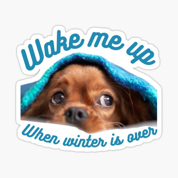 Wake me up when winter is over, inspiration, Motivation funny saying. Sticker