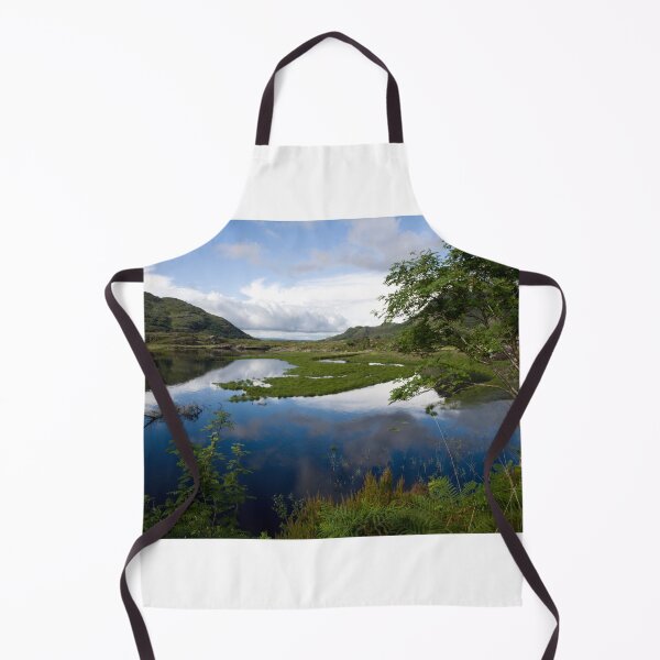 Aperçu de l'œuvre Ladies View Killarney, Irlande créée et vendue par StephenPower.