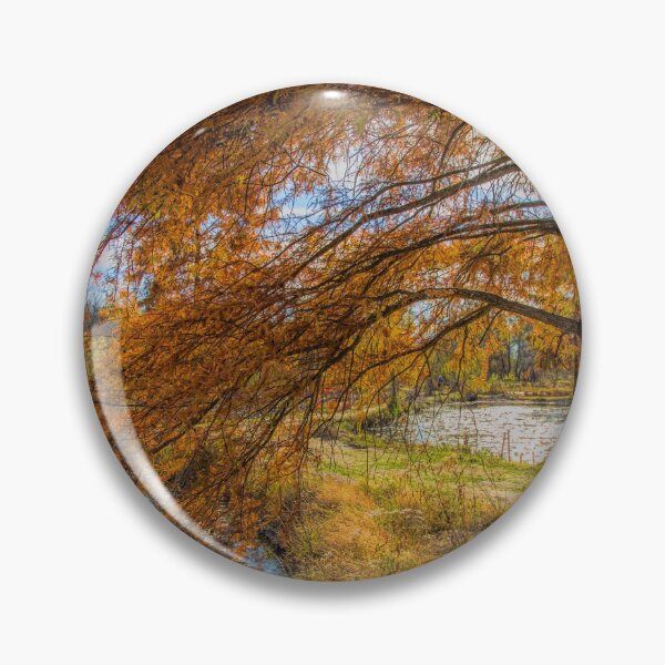 Item preview, USA. Washington D.C.. Kenilworth Park and Aquatic Gardens. Tree. designed and sold by vadim19.