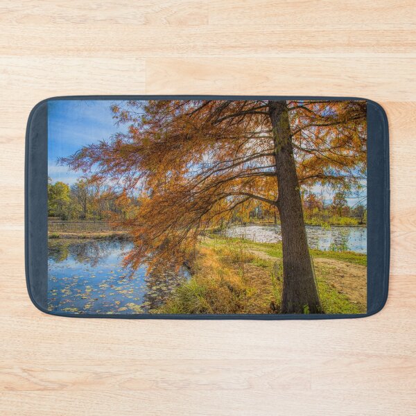 Item preview, USA. Washington D.C.. Kenilworth Park and Aquatic Gardens. Tree. designed and sold by vadim19.