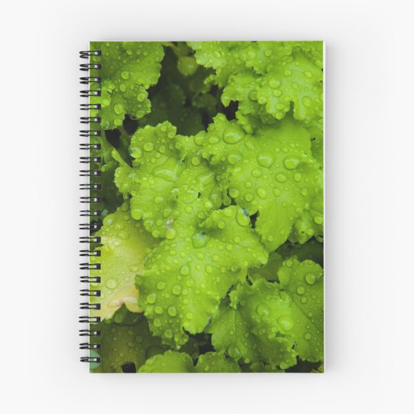 Item preview, Heuchera and raindrops designed and sold by frommyhorizon.