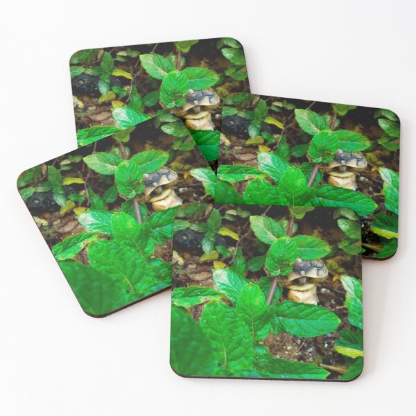 Item preview, Little turtle hiding between mint leaves designed and sold by CSouissi.