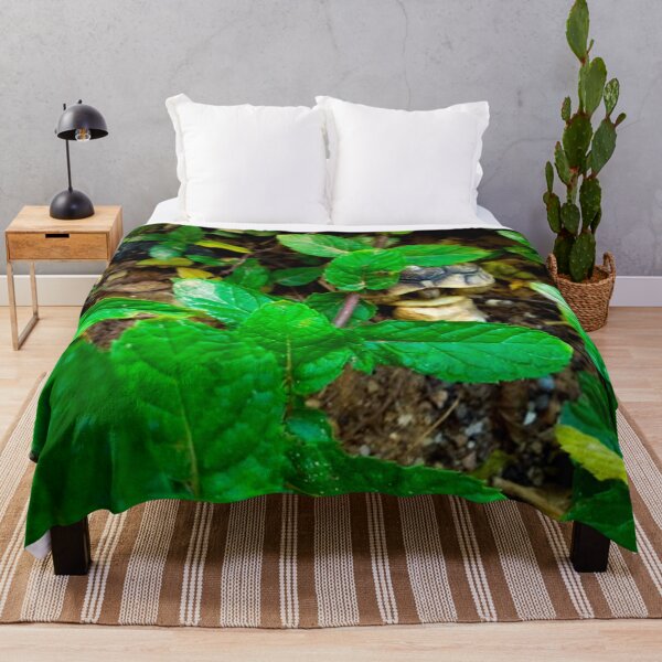 Item preview, Little turtle hiding between mint leaves designed and sold by CSouissi.