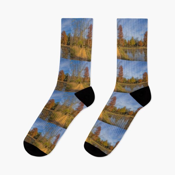 Item preview, USA. Washington D.C.. Kenilworth Park and Aquatic Gardens. Pathway. designed and sold by vadim19.