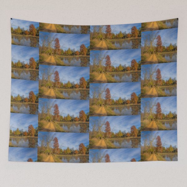 Item preview, USA. Washington D.C.. Kenilworth Park and Aquatic Gardens. Pathway. designed and sold by vadim19.